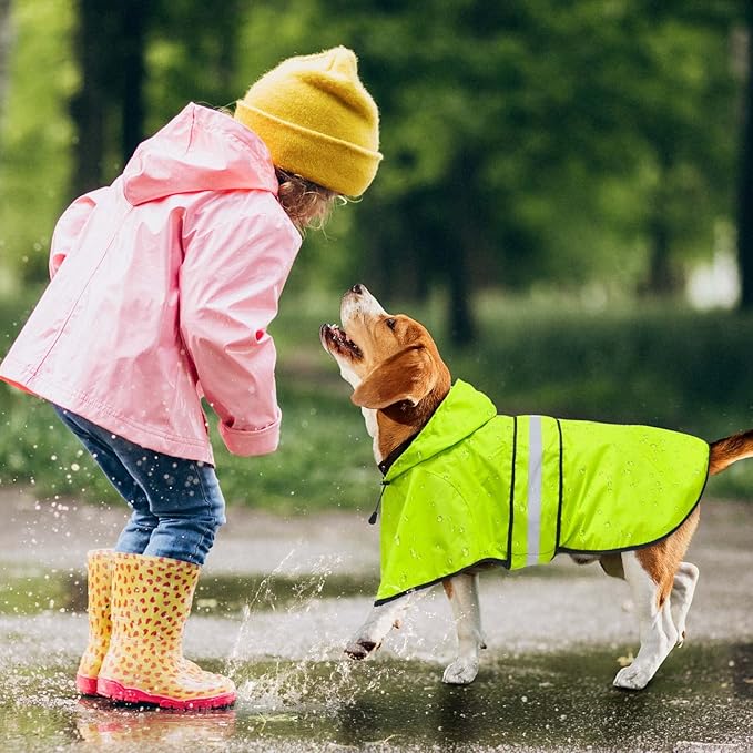 Dog Raincoat - Reflective Waterproof Dog Rain Jacket Lightweight Rain Coat for Small Medium Large Dogs (Medium, Green)