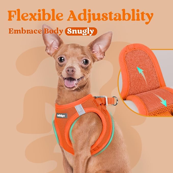 rabbitgoo Small Dog Harness, Step-in Soft Mesh Puppy Vest with Safety Buckle, Breathable Reflective Pet Harness for Small Medium Dogs, Orange L