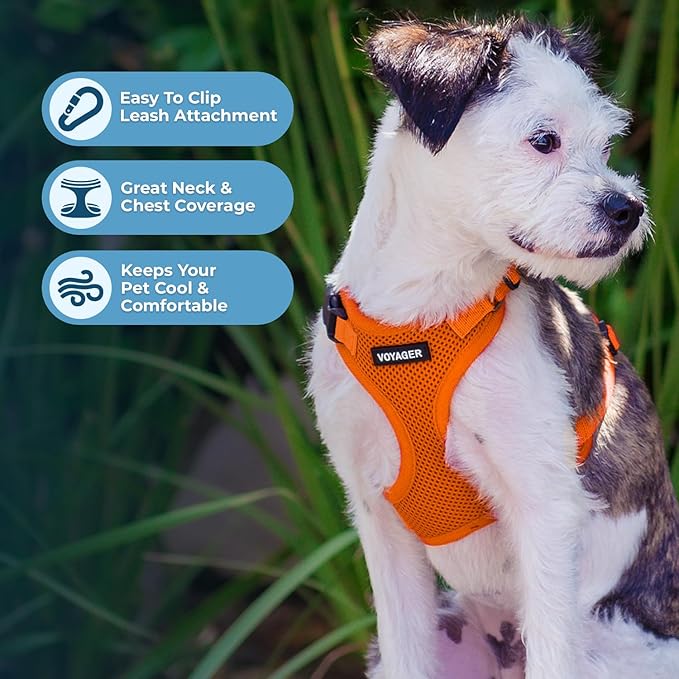 Voyager Step-in Pet Harness - All Weather Mesh, Adjustable Step in Harness for Cats and Dogs by Best Pet Supplies - Orange, L