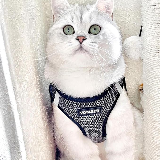 Best Pet Supplies Voyager Step-in Air Harness - All Weather Mesh, Reflective, No Pull Harness for Dogs, Cats - Secure with Hook & Loop Fastener, Buckle, Double D-Rings - Tone, S