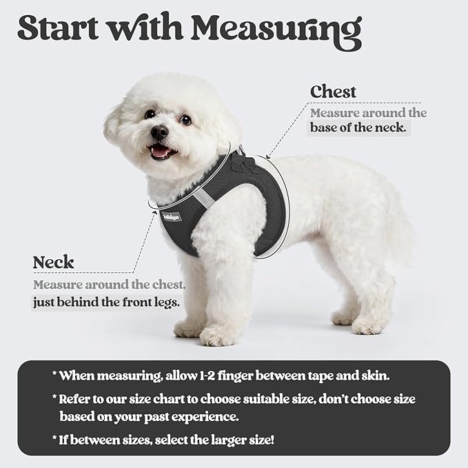 rabbitgoo Dog Harness Small Sized and Leash Set, Step in Soft Light Puppy Vest, Breathable Mesh Pet Harness, Reflective for Outdoor Safe Walking, Black XL