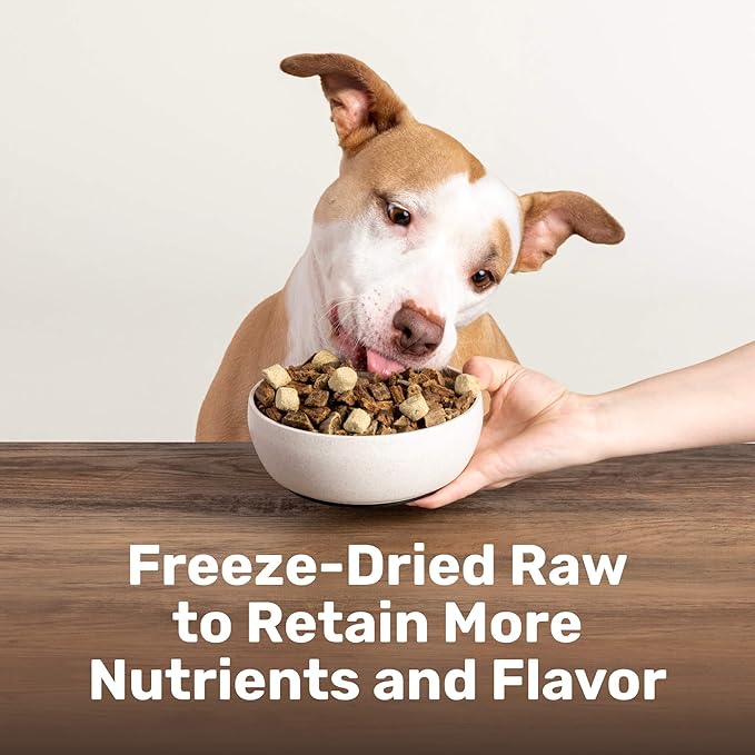 BADLANDS RANCH Superfood Nuggets- Premium, Freeze-Dried raw Dog Food Topper or Treat. Powerful Nutrient-Dense Ingredients. No Artificial additives. Beef Tripe and Kale Formula 8oz - 4pk Bundle