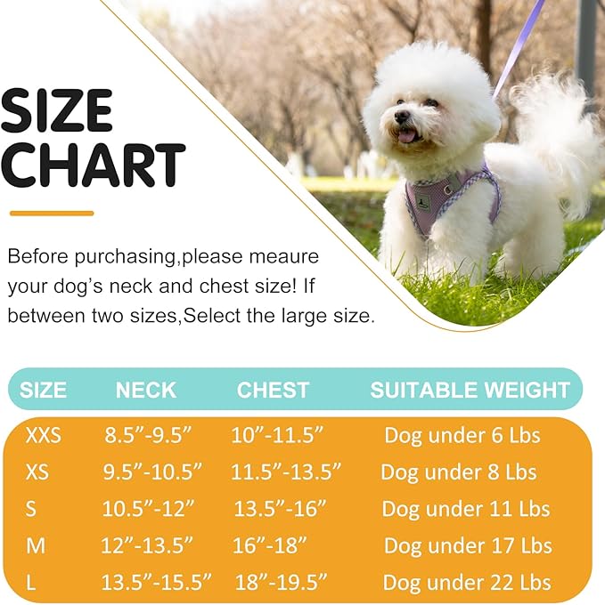 Dog Harness & Leash Set - No Pull Soft Breathable Small Dog Harness, Adjustable Reflective Step-in Vest for Puppy, Kitten, Cats