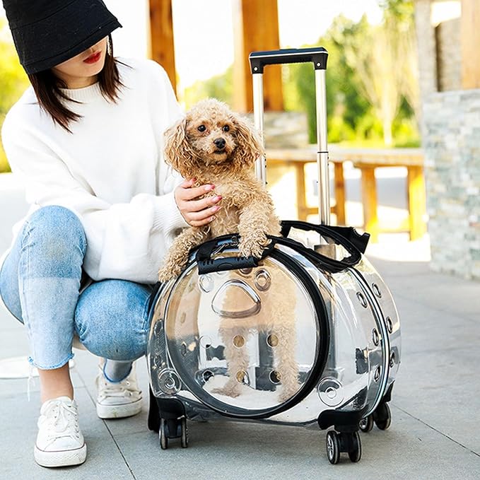 Pet Trolley Case with Ventilation Holes, Pet Carrier,Rolling Carrier,Clear Window Trolley Case,Strollers for Small Dogs,Cat Carrier with Silent Wheels Telescopic for Travel Black