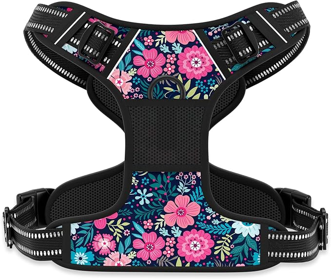 Rnivvi No Pull Dog Harness, Cute Flower Reflective X-Small Sized Puppy Harness, Adjustable Soft Padded Vest for Small Dogs, Cats, Heavy Duty Pet Vest with Easy Control Handle for Walking, Elegant
