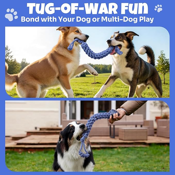 Interactive Dog Frisbee Rope Toy – Tough 2-in-1 Flying Disc & Rope Chew Toy for Medium/Large Dogs, Outdoor Training & Fetching, Purple & Blue