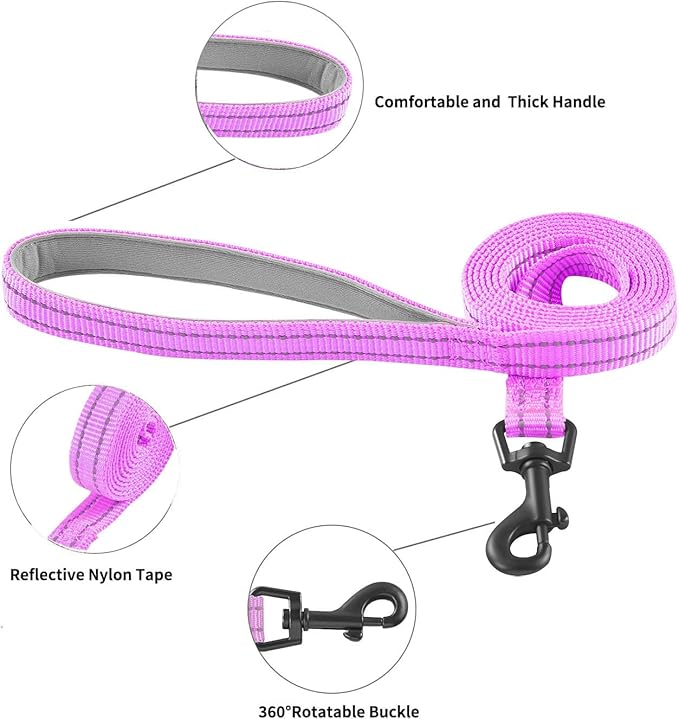 Dog Harness and Leash Set, No Pull Soft Mesh Puppy Harness for Small Medium Dogs, Cats - Step in Reflective Breathable Lightweight Vest Harness for Walking, Training - Purple, M