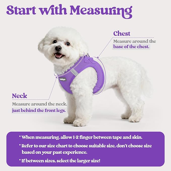 rabbitgoo Dog Harness Small Sized and Leash Set, Step in Soft Light Puppy Vest, Breathable Mesh Pet Harness, Reflective for Outdoor Safe Walking, Purple XXL