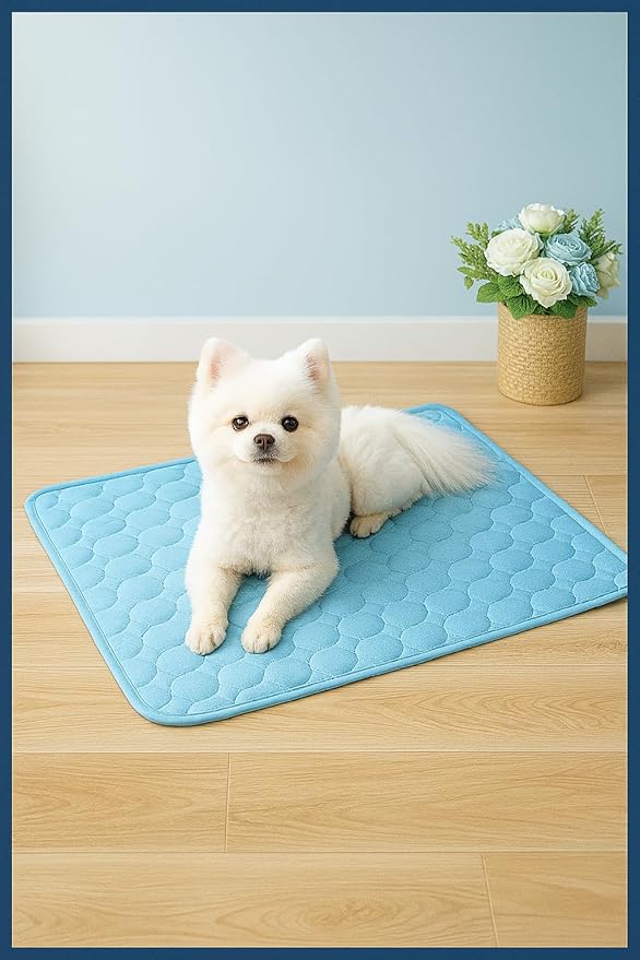 Blue Cooling Mat & Sleeping Pad | Water Absorption | Safe Materials | Easy Carry & Clean | Ideal Cooling Pad for Dogs and Cats | Perfect for Camping, Crates, and Pet Beds | 23.6"L x 19.7"W x 0.8"Th