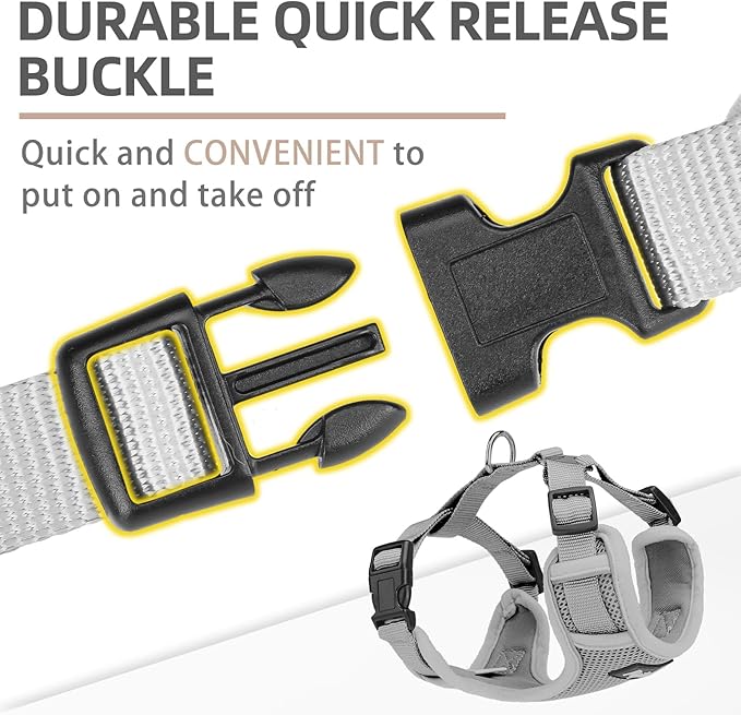 PUPTECK Small Dog Harness and Leash Set, No Pull Adjustable Puppy Cat Harness, Reflective Soft Mesh Pet Vest Medium Sized