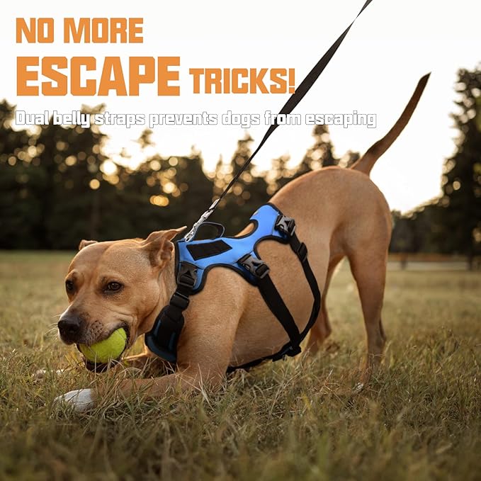 AUROTH Escape Proof Dog Harness - No Pull with Lift Handle, Soft Padded Reflective Adjustable Vest, Large for Walking, Hiking, Training