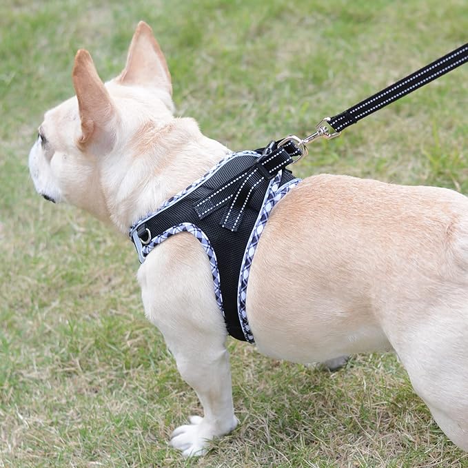 Mercano Soft Mesh Dog Harness and Leash Set, No-Chock Step-in Reflective Breathable Lightweight Easy Walk Vest Harnesses with Safety Buckle for Small Dogs, Cats (Black White, S)