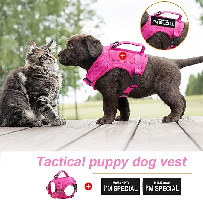 Forestpaw Cat Harness Escape Proof for Walking,Adjustable Cat Vest Harness with Soft Mesh Padded,Tactical Cat Harness with Control Handle,Molle Patches,Hot Pink