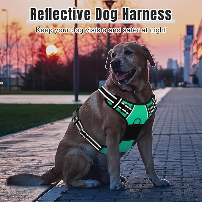 Rnivvi No Pull Dog Harness, Cute Reflective Large Sized Puppy Harness, Adjustable Soft Padded Vest for Large Dogs, Heavy Duty Pet Vest with Easy Control Handle for Walking Training, Gradient Green