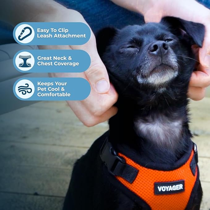 Voyager Step-in Pet Harness - All Weather Mesh, Adjustable Step in Harness for Cats and Dogs by Best Pet Supplies - Orange/Black Trim, XS