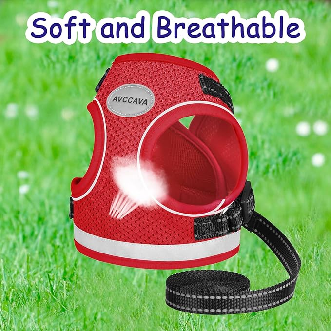 Cat Harness and Leash for Walking, Escape Proof Soft and Breathable Adjustable Vest Harness for Cats, Lightweight Easy to Control Medium Dog Kitten Harness, Comfortable Outdoor Jacket