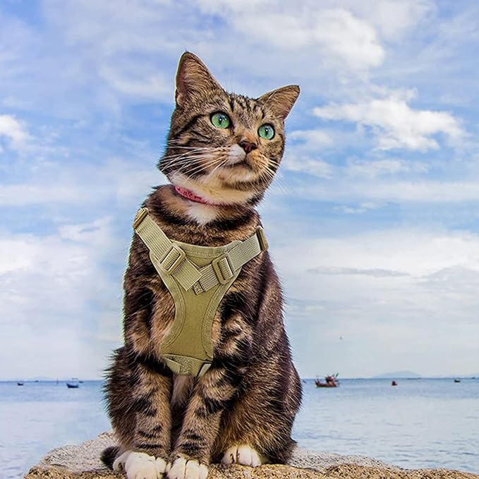 Tactical Cat Harness Escape Proof for Walking with Personalized Patches - Adjustable Harness for 8-20lbs Cat Escape Proof - Soft Vest for Large Kitty with Optional Leash (Red)