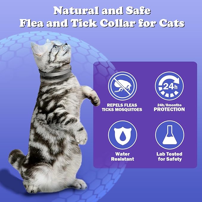 Flea and Tick Collar for Cats 2 Pack, 8 Months of Cat Flea Collar Protection 2 Collars Made with Premium Plant Based Essential Oil Waterproof and Natural Treatment Prevention Free Comb