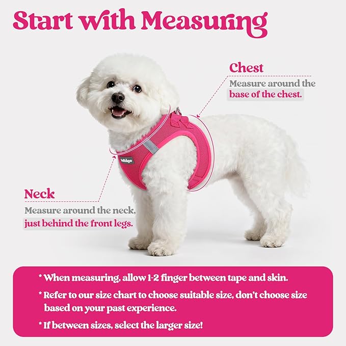rabbitgoo Dog Harness Small Sized and Leash Set, Step in Soft Light Puppy Vest, Breathable Mesh Pet Harness, Reflective for Safe Easy Walking, Rose Red M