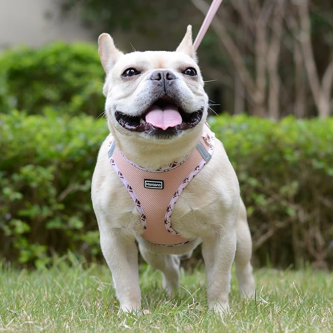Mercano Soft Mesh Dog Harness and Leash Set, No-Chock Step-in Reflective Breathable Lightweight Easy Walk Vest Harnesses with Safety Buckle for Small Dogs, Cats (Champagne, S)