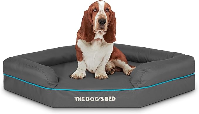 The Dog’s Bed Medium Support Memory Foam Waterproof Corner Dog Bed, Large, Grey & Blue Trim, Eases Pet Arthritis & Hip Dysplasia Pain, Therapeutic & Supportive, Washable Oxford Fabric Cover