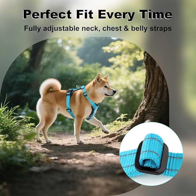 Plutus Pet Adjustable No Pull Dog Harness with Leather Accents, Heavy Duty Reflective Nylon Vest for Training, Hiking, Easy Walk Harness for Small, Medium, Large Dogs (Light Blue, S)