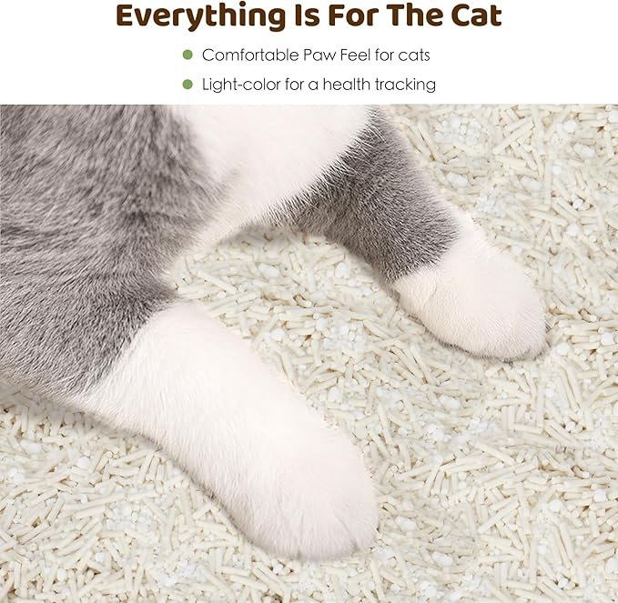 Non-Stick Box Tofu Cassava Cat Litter, 2Pack Ultra Clumping Low Tracking Kitty Litter, Natural Biodegradable Litter, Plant Odor Control, Low Dust Easy to Scoop, Light Color for Health Tracking,18Lb
