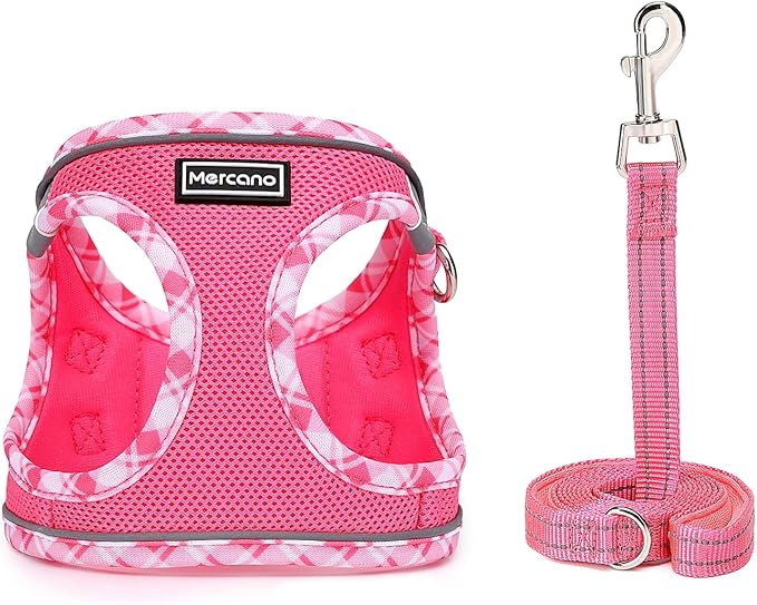 Mercano Soft Mesh Dog Harness and Leash Set, No-Chock Step-in Reflective Breathable Lightweight Easy Walk Vest Harnesses with Safety Buckle for Small Dogs, Cats (XXS, Fuchsia)