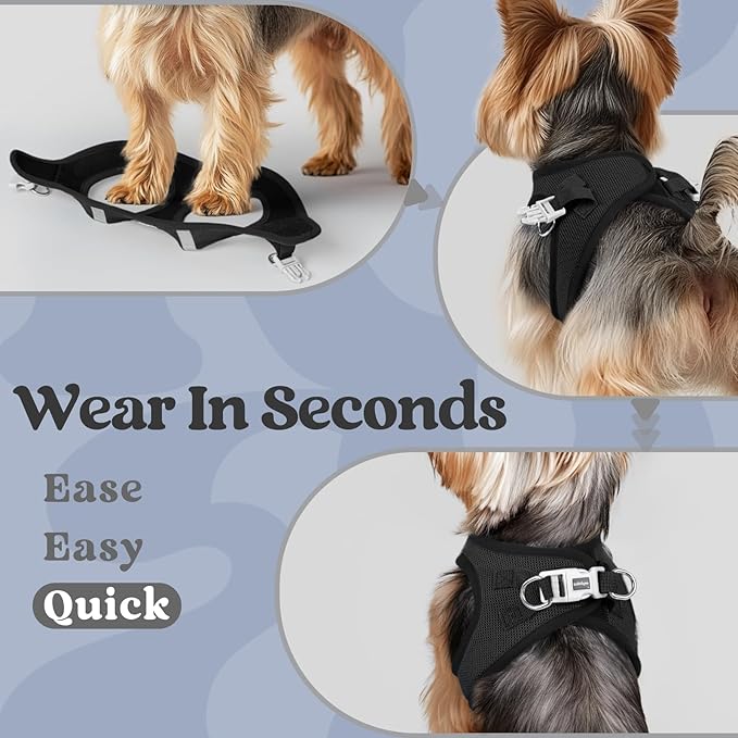 rabbitgoo Small Dog Harness, Step-in Soft Mesh Puppy Vest with Safety Buckle, Breathable Reflective Pet Harness for Small Medium Dogs, Black L
