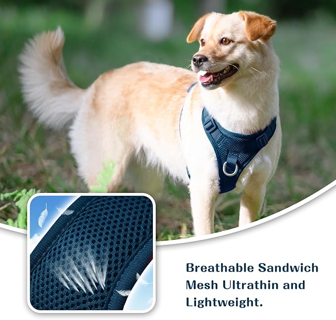 No Pull Dog Harness for Small Medium Large Dogs - Adjustable Two-Layer Mesh Dog Vest with Dual Clip, Escape Proof, Quick Release, Lightweight Breathable Mesh for Walking Hiking (Prussian Blue,XL)