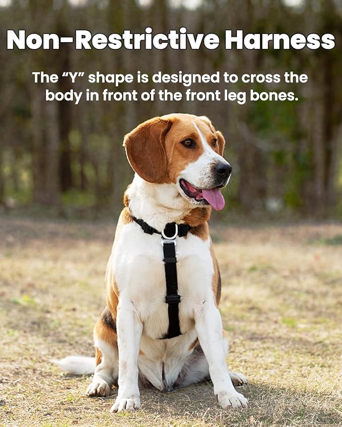 Non Restrictive Dog Harness Medium Size, Easy Walk Freedom No Pull, Keep Balance, Lightweight, Neck Buckle, 2 Clips for Back/Front Clip, Sewn-in Instructions Labels for Easy Use, Purple