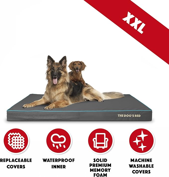 The Dog’s Bed Orthopedic Memory Foam Dog Bed, XXL Grey/Blue 54x36x4, Pain Relief for Arthritis, Hip & Elbow Dysplasia, Post Surgery, Lameness, Supportive, Calming, Waterproof Washable Cover