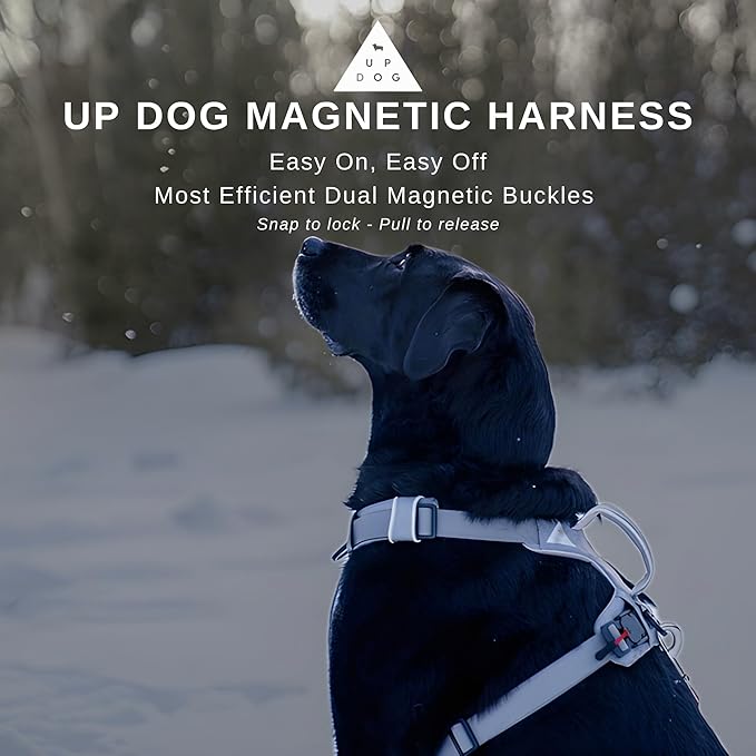 Strong & Secure Magnetic Dog Harness with Easy Lock Buckle - Comfortable No-Pull Vest for Small, Medium & Large Dog Breeds (Medium)