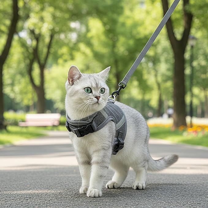 Cat Harness and Leash Escape Proof Kitten Harness Cat Leash for Walking Travel Service Cat Vest, Grey, X-Large