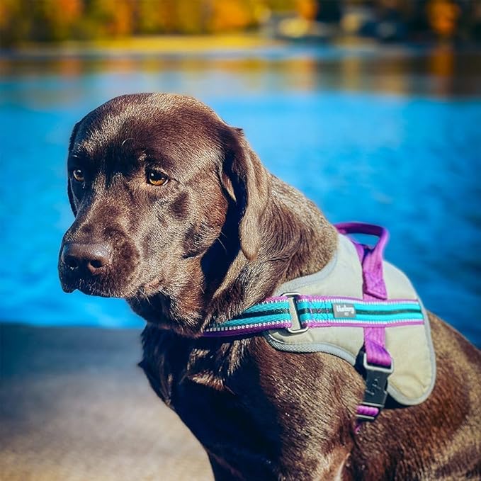Blueberry Pet Reflective Dog Harness Medium Sized Dog Pink Dog Harness for Large Dogs