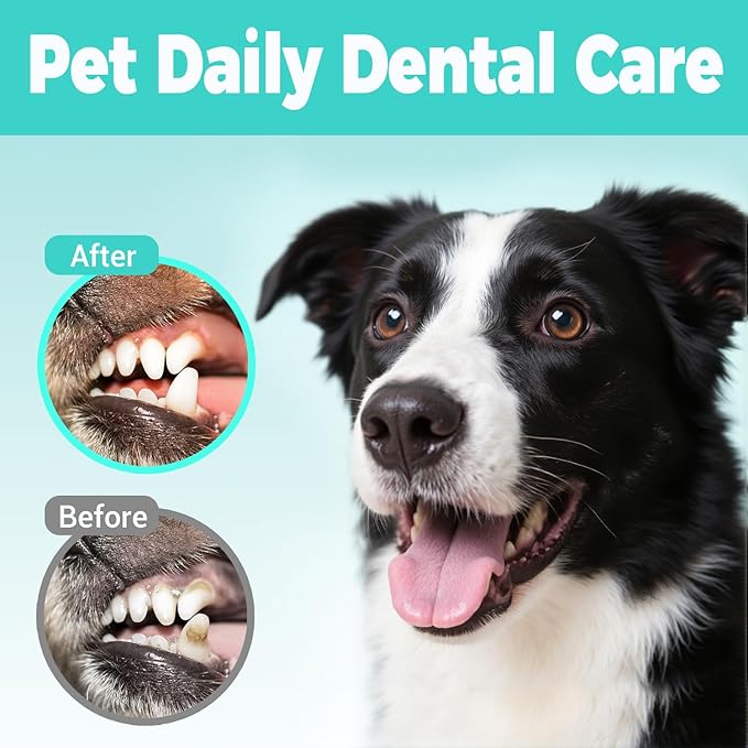 Teeth Cleaning Finger Wipes for Dogs & Cats,Dental Cleaning Wipes for Dogs and Cats,Pet Teeth Cleaning Finger Wipes,Reduces Plaque and Freshens Breath, Removes Tartar, Disposable Wet Wipes 50ct