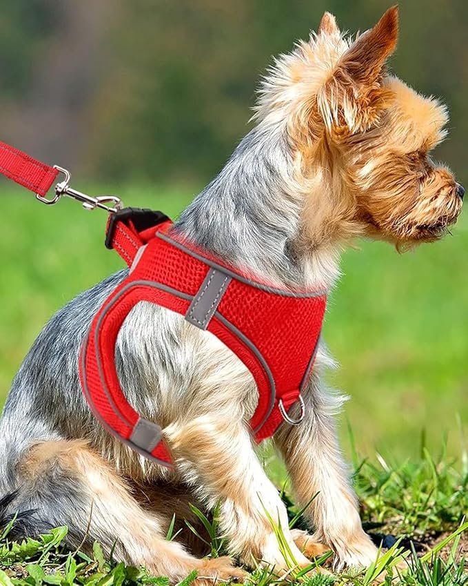 Joytale Small Dog Harness, Breathable Mesh Step-in Vest, Reflective Soft Padded Harnesses Small Sized Dog for Walking, Red, S