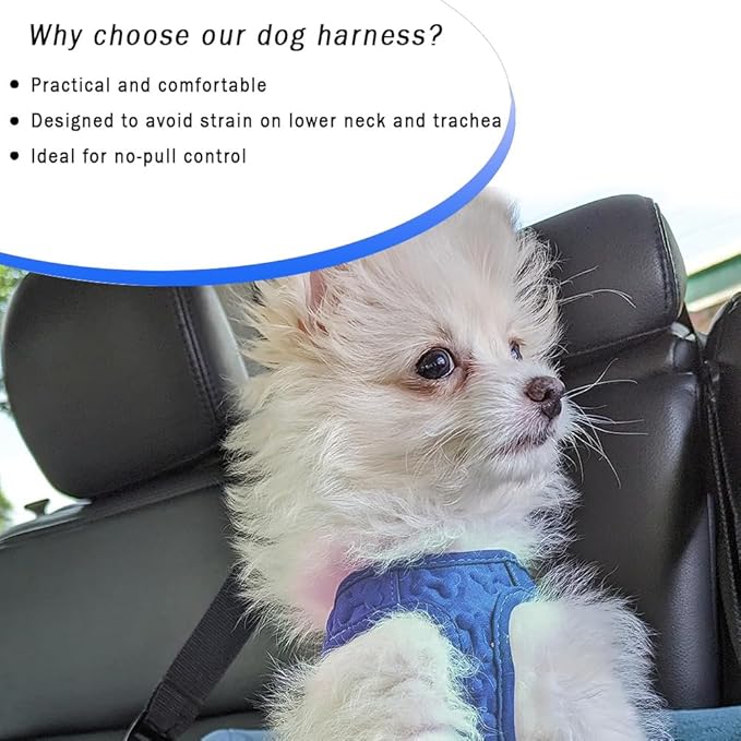 Comfort Fit No Pull Dog Harness – Adjustable Step-in Vest for Small, Medium & Large Dogs, Soft Padded with Leash Clips, Reflective Straps & Handle