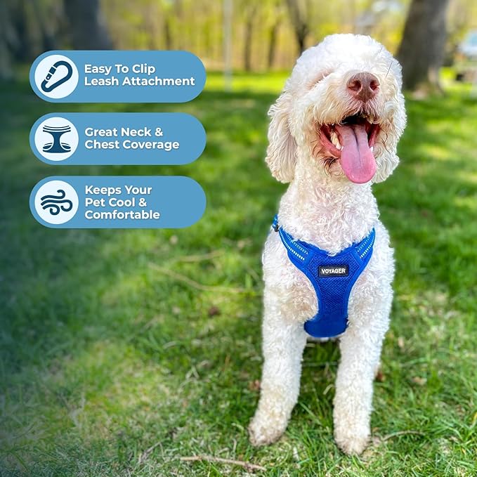 Best Pet Supplies Voyager Adjustable Dog Harness Leash Set with Reflective Stripes for Walking Heavy-Duty Full Body No Pull Vest with Leash D-Ring, Breathable All-Weather - Royal Blue, M