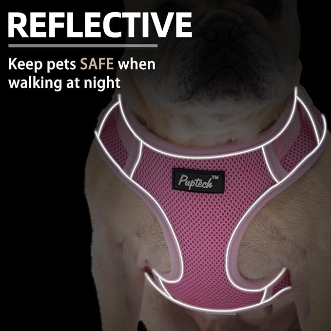 PUPTECK Small Dog Harness and Leash Set, No Pull Adjustable Puppy Cat Harness, Reflective Soft Mesh Pet Vest Medium Sized