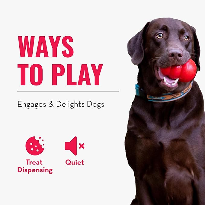 KONG - Rewards Ball - Ultra Durable Interactive Treat Dispensing Dog Toy - for Large Dogs