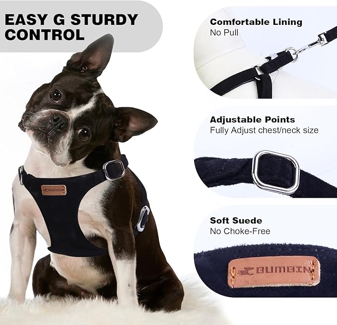 Dog Harness and Leash Set, XXS No Pull Adjustable Puppy Harness with Multifunction Pink Dog Leash and Dog Collar, Soft No Choke Escape Proof Pet Harness Vest for Small Dogs and Cats (Black, XS)