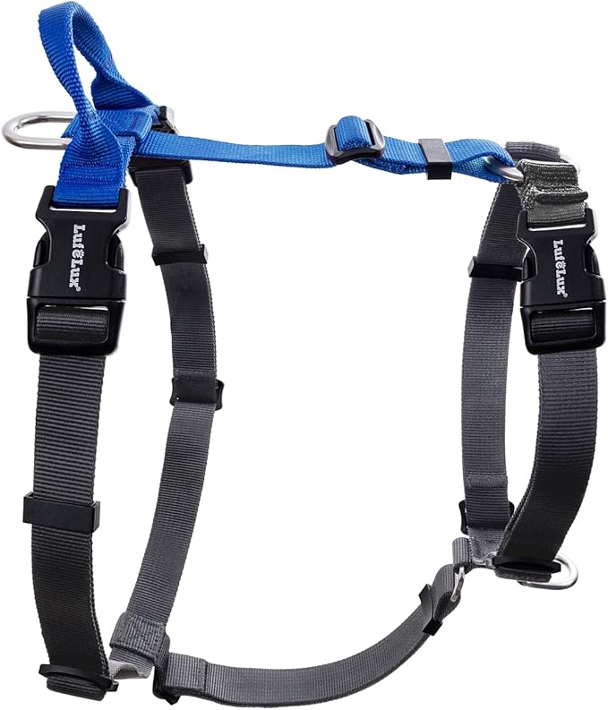Non-Restrictive Dog Harness Medium Sized Dog, Easy Walk Freedom No Pull Harness, Keep Balance, Neck-Buckle, Six Points Adjustment, 2 Leash Clips for Back/Front Clip, Blue/Black