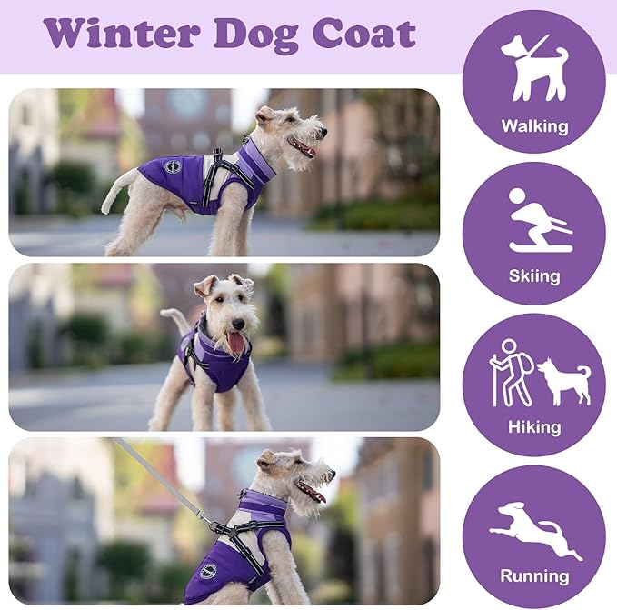 Winter Coat - Waterproof Dog Jacket with Reflective Snow Jacket for Small to Large Dogs, Purple