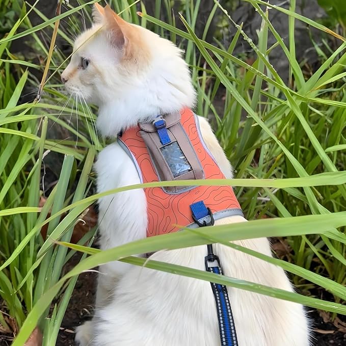 TRAVEL CAT The Pathfinder Cat Harness with GPS Tracker Pocket - Powered by Tractive Cat Harness Escape Proof - Walking Escape Proof Harness for Small, Large Cat, Kitten (Orange, Small)