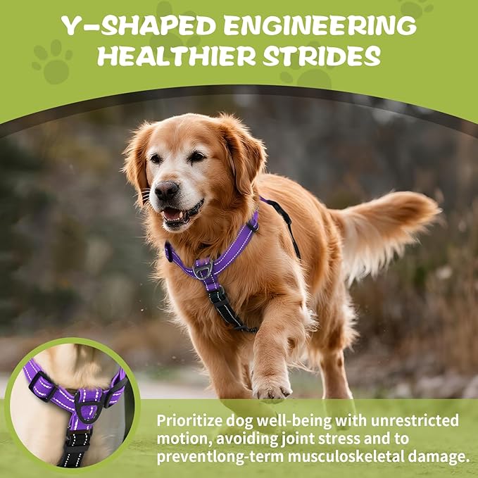 No-Pull Harness,Y-Shaped Design,Buckle-Neck Balance Harness with Reflective Stitching, Ideal for Dog Training and Night Walking, Padded Handle, Durable High-Tensile Nylon-Purple-S