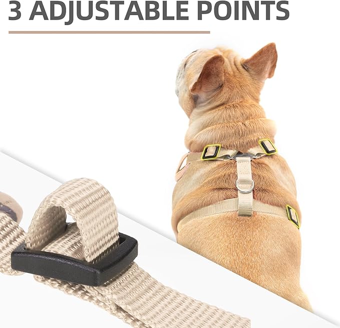 PUPTECK Small Dog Harness and Leash Set, No Pull Adjustable Puppy Cat Harness, Reflective Soft Mesh Pet Vest Small Sized