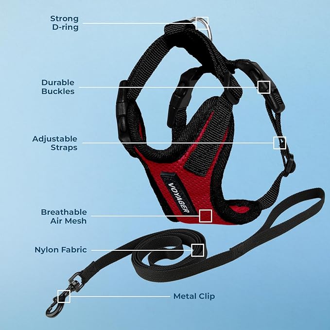 Voyager Step-in Lock Adjustable Cat Harness w. Cat Leash Combo Set with Neoprene Handle 5ft - Supports Small, Medium and Large Breed Cats by Best Pet Supplies - Red/Black Trim, XXS