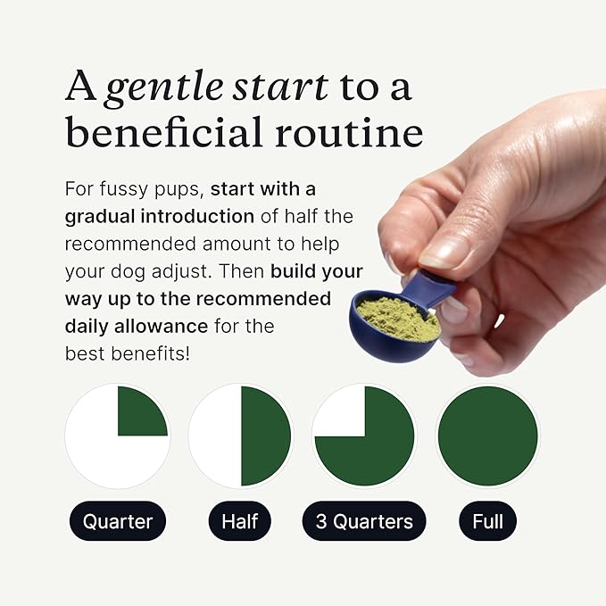 PetLab Co. ProBright Advanced Dental Powder - Dog Breath Freshener - Teeth Cleaning Made Easy – Targets Tartar & Bad Breath - Packaging May Vary - Formulated for Extra Small Dogs