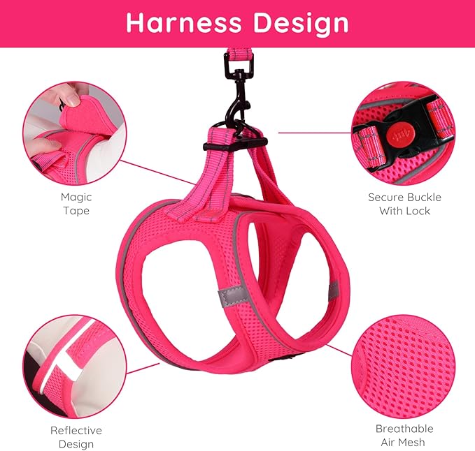 BELLA & PAL Step in Vest Harness for Small and Medium Dogs, No Pull Small Dog Harness with Leash Set, Comfortable Air Mesh Dog Vest Harness with Reflective Strip (Hot Pink, XXS)